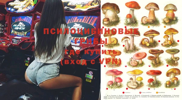 spice Сясьстрой