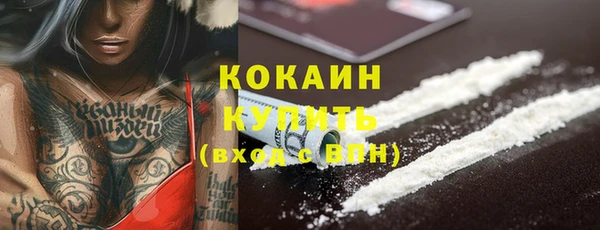 винт Тайга