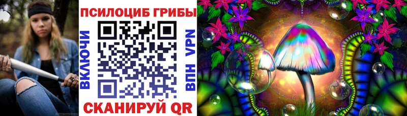 наркотики  Верхняя Пышма  Псилоцибиновые грибы ЛСД 