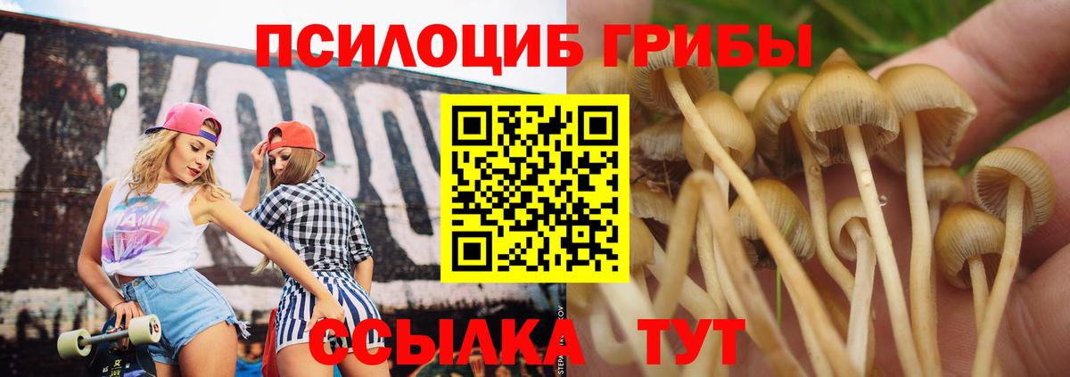 Галлюциногенные грибы прущие грибы  Вход с VPN  Галлюциногенные грибы Magic Shrooms  Верхняя Пышма 